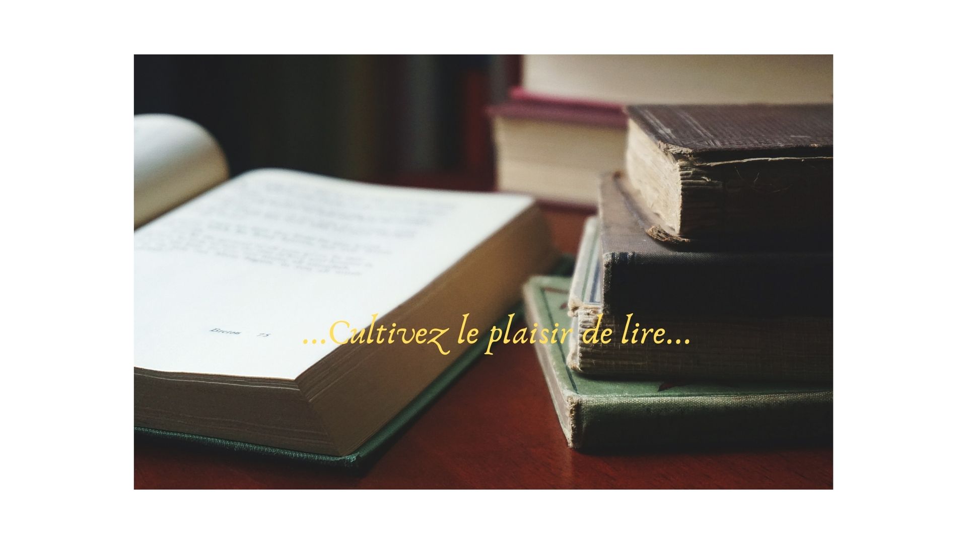 Read more about the article Bibliothèque type
